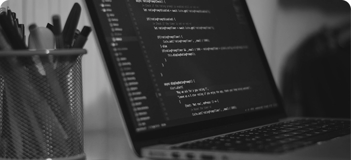 bootcamp online desarrollo web