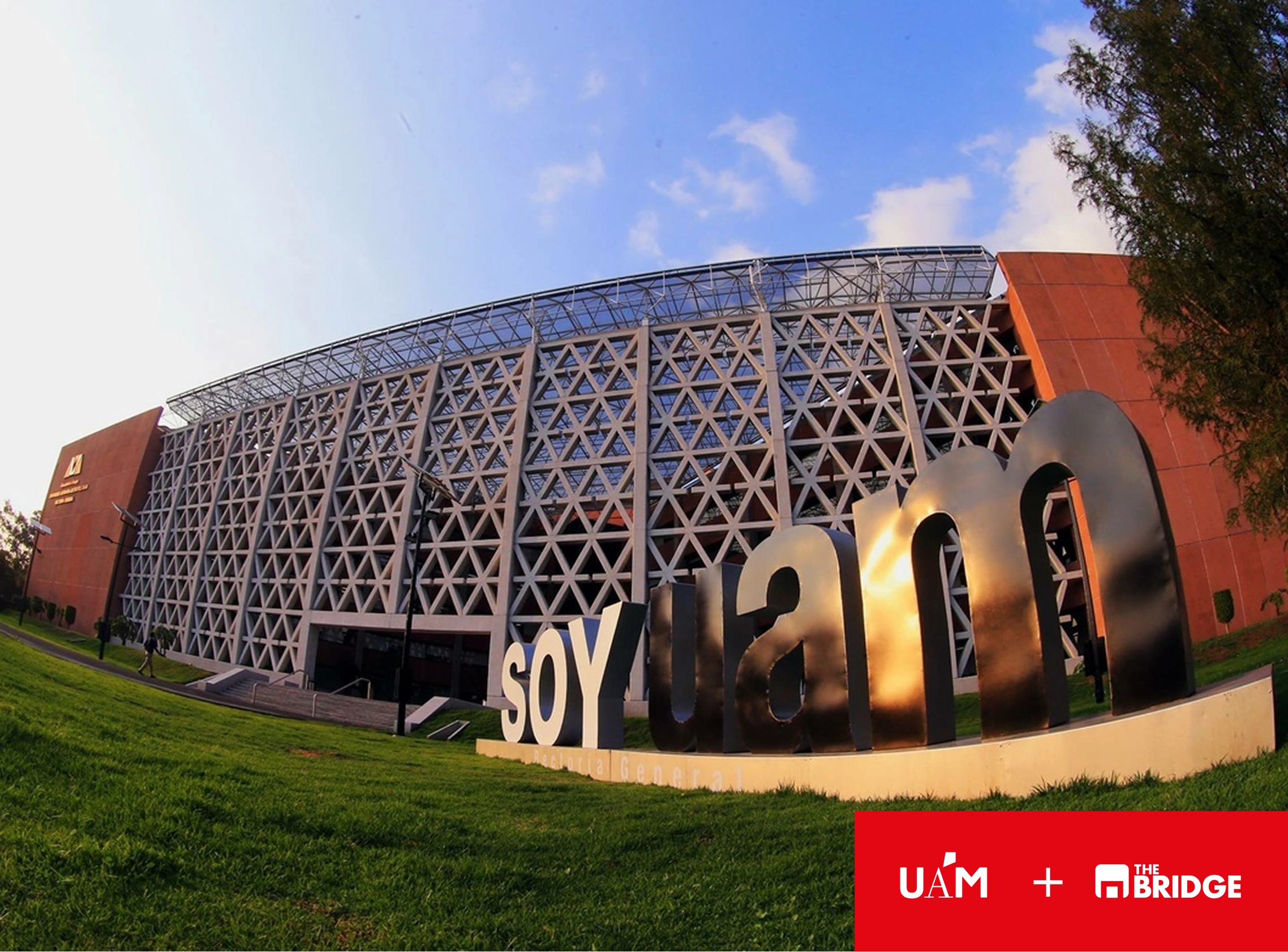 uam + the bridge microcredenciales